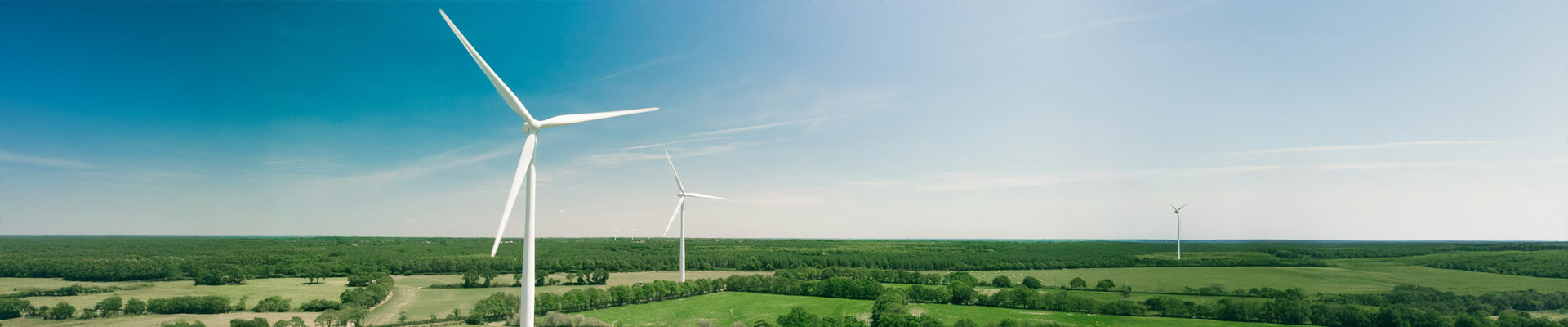 Energy and Renewables 
